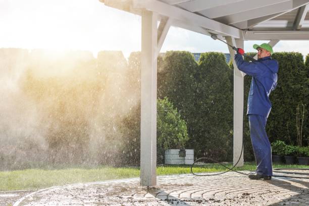 Best Pre-Holiday Cleaning  in Montague, MI